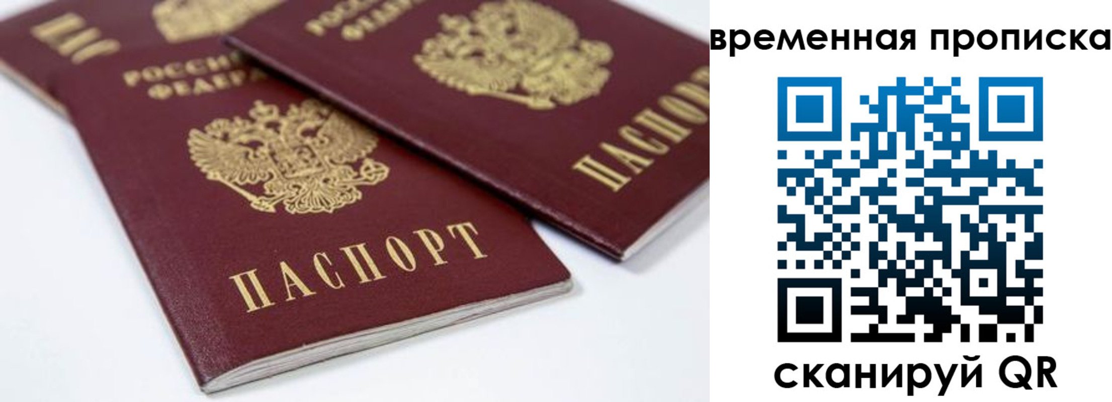прописка для школы в Гае